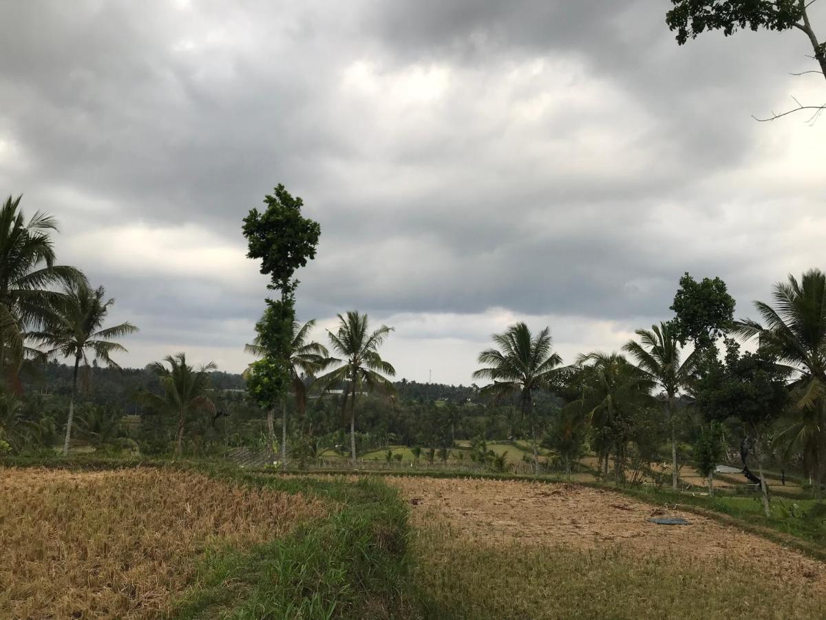 Muni'S Terrace Bungalow Kotaraja Bagian luar foto