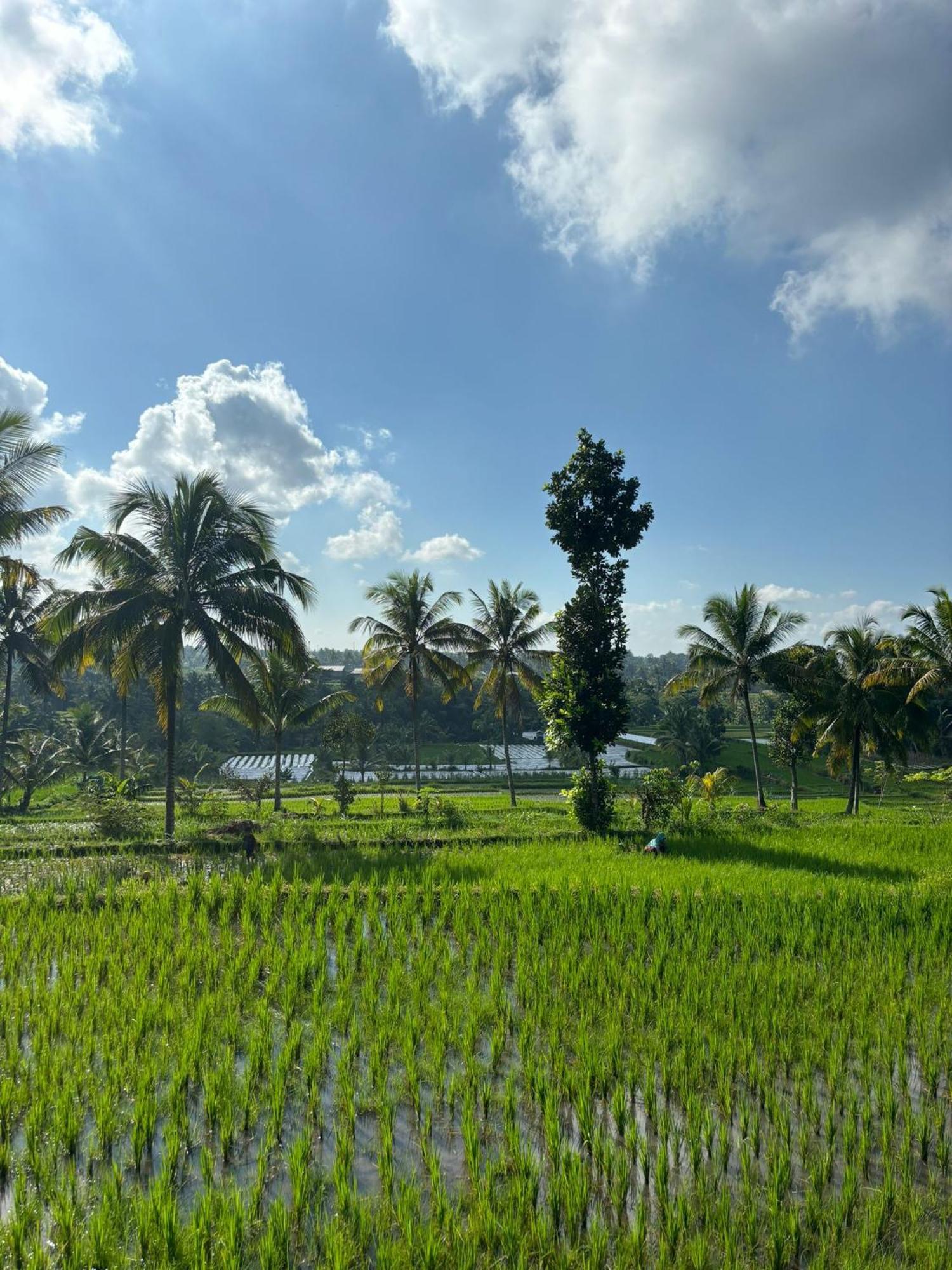 Muni'S Terrace Bungalow Kotaraja Bagian luar foto