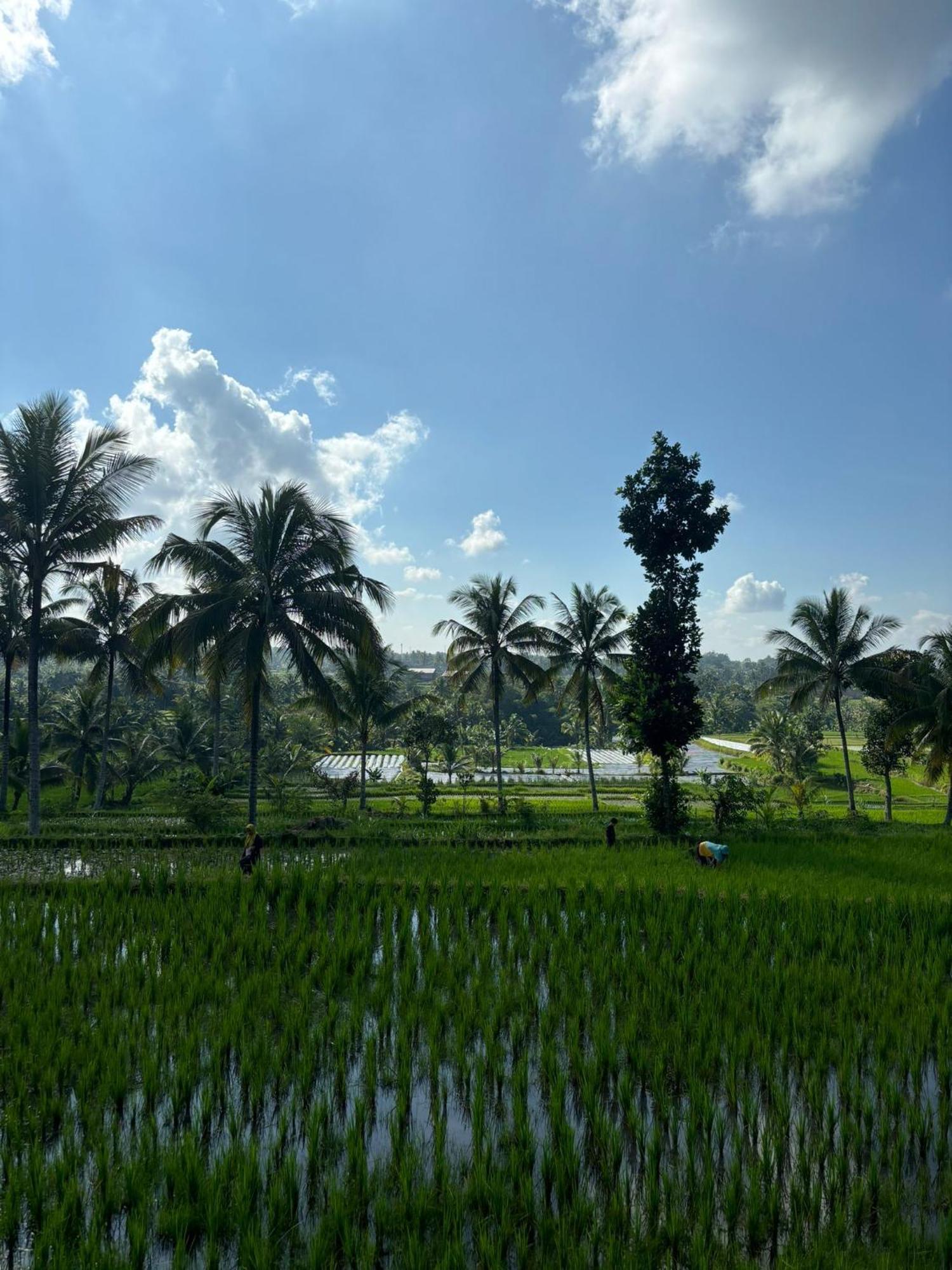 Muni'S Terrace Bungalow Kotaraja Bagian luar foto
