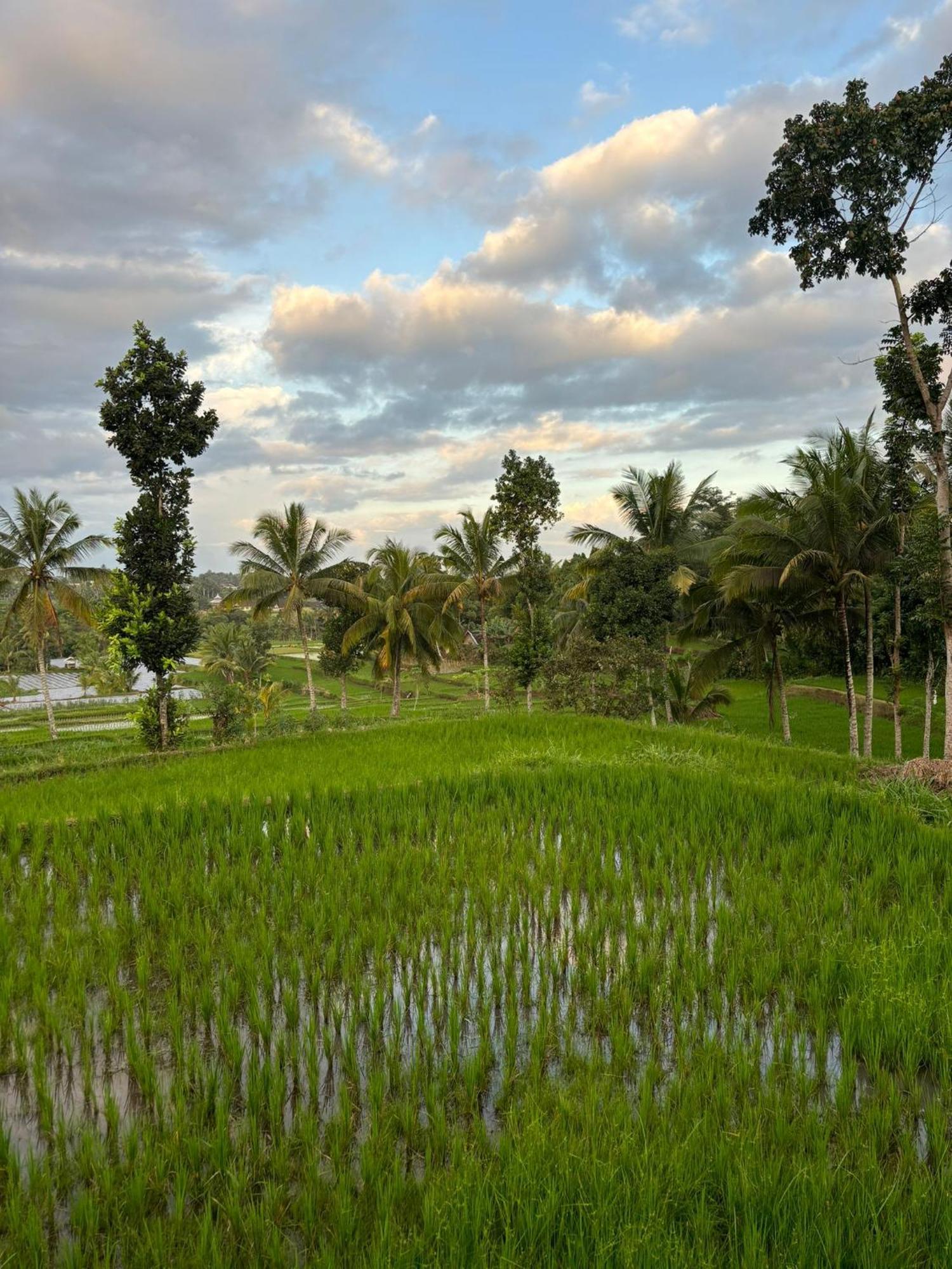 Muni'S Terrace Bungalow Kotaraja Bagian luar foto
