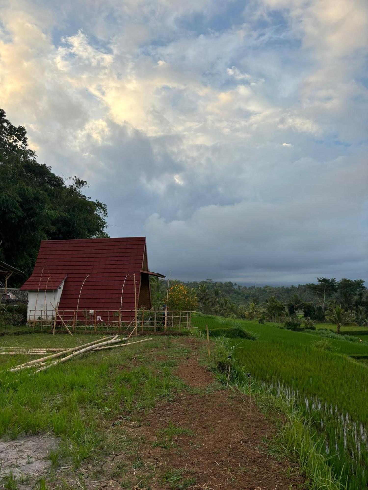 Muni'S Terrace Bungalow Kotaraja Bagian luar foto