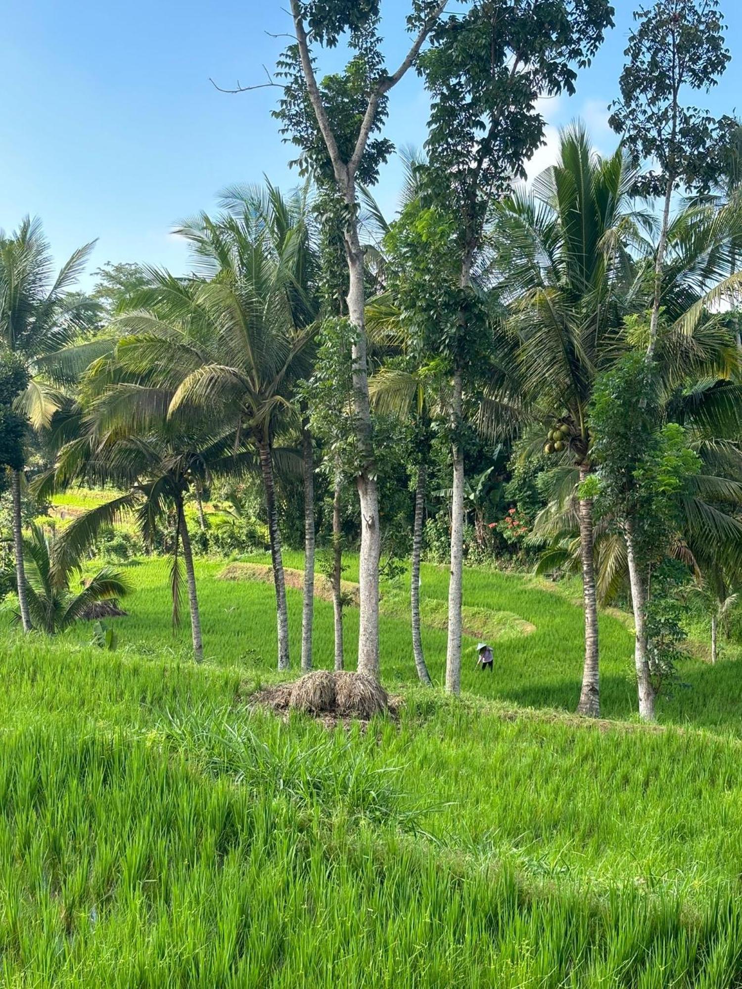 Muni'S Terrace Bungalow Kotaraja Bagian luar foto