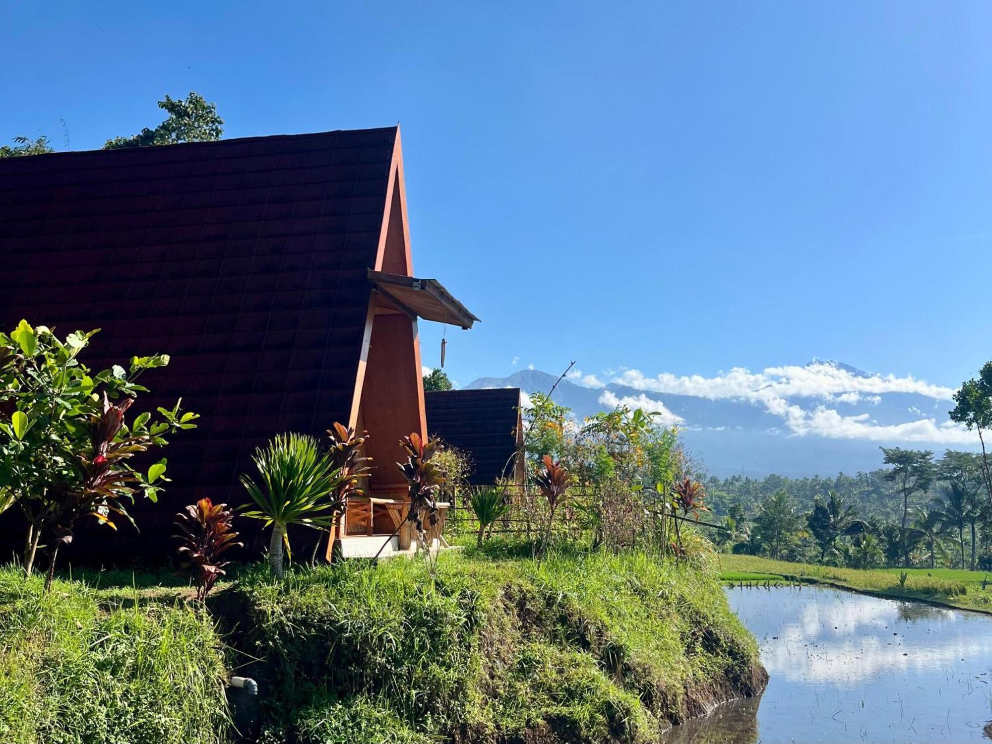 Muni'S Terrace Bungalow Kotaraja Bagian luar foto